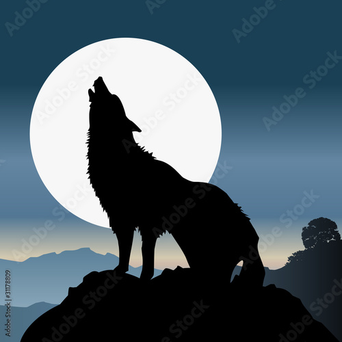 Plakat na papierze fotorealistycznym Loup_1