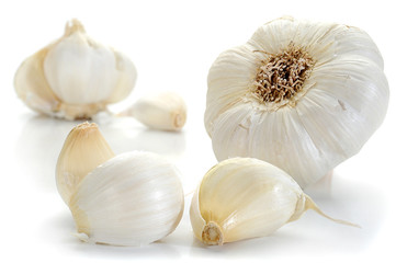 Garlic