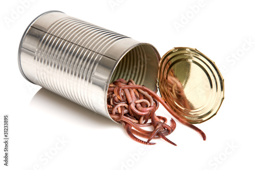 500_F_31233895_cxkTikB5UOx2yI8wkiHCjMD2w