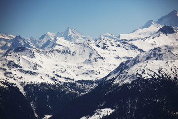 Wall Mural - top of mountains