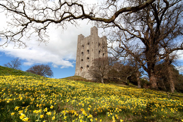 Penhryn Castle