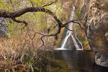 Wall Mural - Darwin Falls in Death Valley National Park, California.