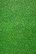 Gruener Kunstrasen, Green Grass