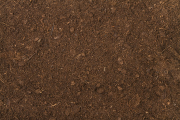 peat soil
