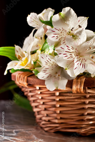Tapeta ścienna Dzikie orchidee kwiat w koszyku