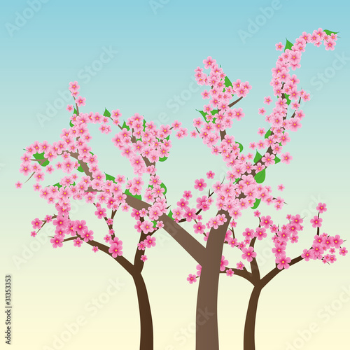 Plakat na papierze fotorealistycznym Kwiat wiśni, kwiaty sakura, ilustracji wektorowych