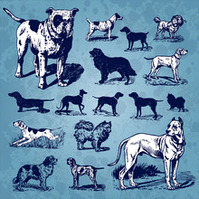Dogs Vintage Set (vector)