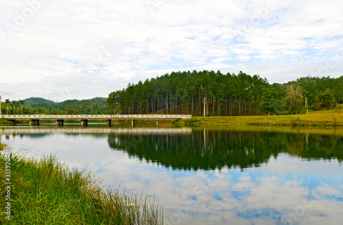 Obraz na płótnie canvas czteroczęściowy "tetraptyk" Park Narodowy Las Terrazas, Kuba