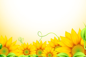 Poster - Sunflower Background