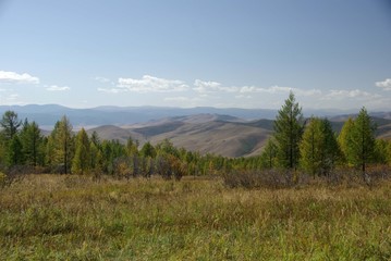 Wall Mural - Paysage mongol