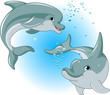 Dolphins couple 