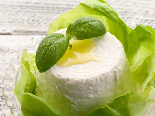 Canvas Print - ricotta with basil and lettuce- ricotta basilico e insalata