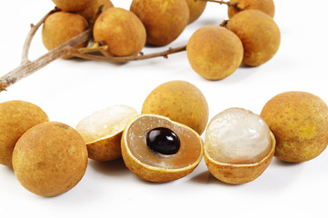 Sticker - sweet longan