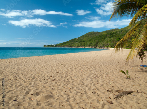 Plage De Grande Anse à Deshaies Guadeloupe Buy This Stock