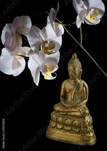 Obraz na płótnie canvas Brązowy budda w pozycji lotosu i kwiat orchidei