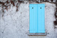 Window With Blue Shutters And White Walls, Dried Ivy