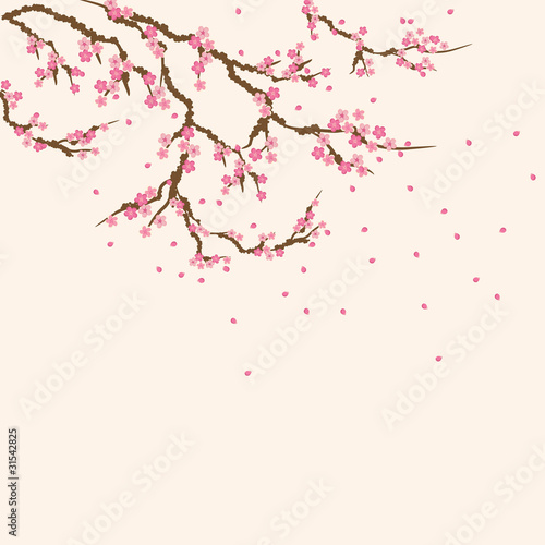 Tapeta ścienna Pocztówka sakura