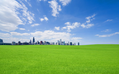 Green grass and  downtown