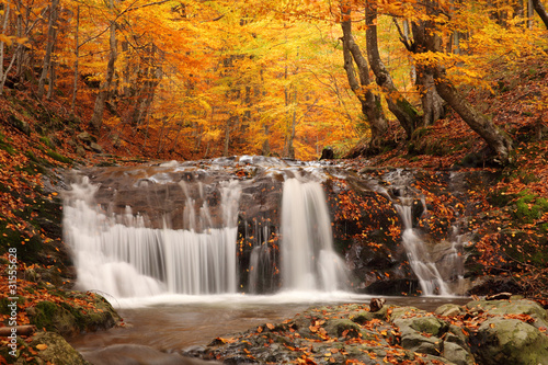 Dekoracja na wymiar  piekny-wodospad-w-lesie-jesien-krajobraz