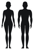Fototapeta  - Proporcjonalne kształty mężczyzny i kobiety