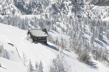 Wall Mural - winter hut