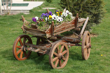 Decorative Wooden Cart On The Green Grass