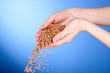 Women's hands are sowing seed on blue background