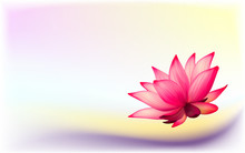 Vector Photo-realistic Lotus Flower On Abstract Background