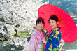 © taka - japanese kimono woman and traditional red umbrella