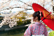 © taka - japanese kimono woman and traditional red umbrella