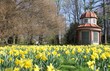 Frühling in Göttingen