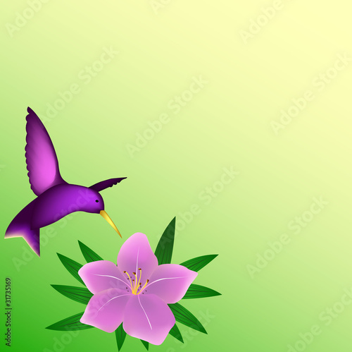 Plakat na papierze fotorealistycznym Kolibry tło