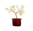 © Fotana - Feng shui tree