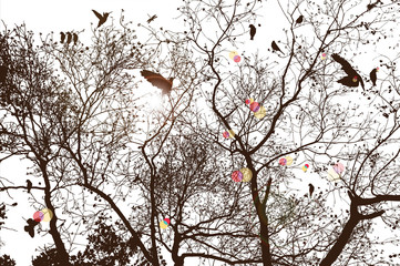 Wall Mural - tree and bird