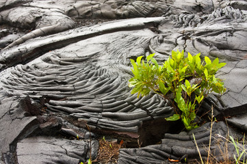 Volcanic Rock