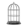 3d render of bird cage