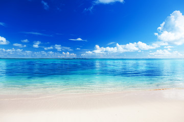 Wall Mural - sea and sand