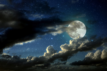 Wall Mural - Full moon night