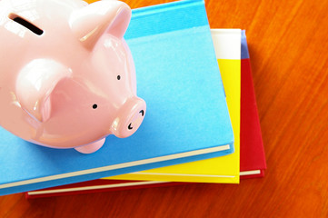 Sticker - piggy bank on a stack of books