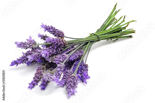 Naklejka na szybę lavender