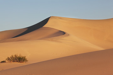 Sticker - Sand dunes are spectacular gold sunrise