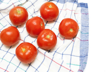 Poster - wet tomatoes on kitchen towel