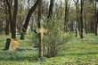 Old cross on abandoned cemetery