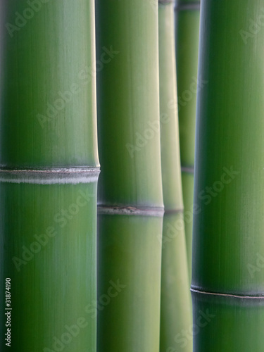 Board z aluminiowym obramowaniem Bambusowe trzciny