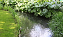 River In The Garden
