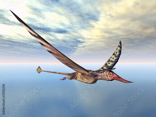 Naklejka samoprzylepna Latać jeźdźca rhamphorhynchus
