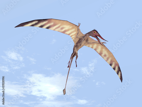 Naklejka samoprzylepna Rhamphorhynchus