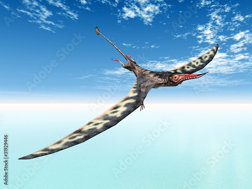 Naklejka samoprzylepna Latać jeźdźca rhamphorhynchus