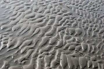 Wattenmeer