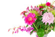 colorful summer flowers mix isolated on the white.